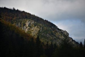 Fotoaktywni 30